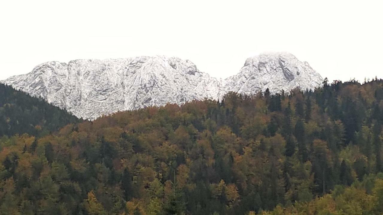 Apartament 33.13.A. Zakopane Kültér fotó