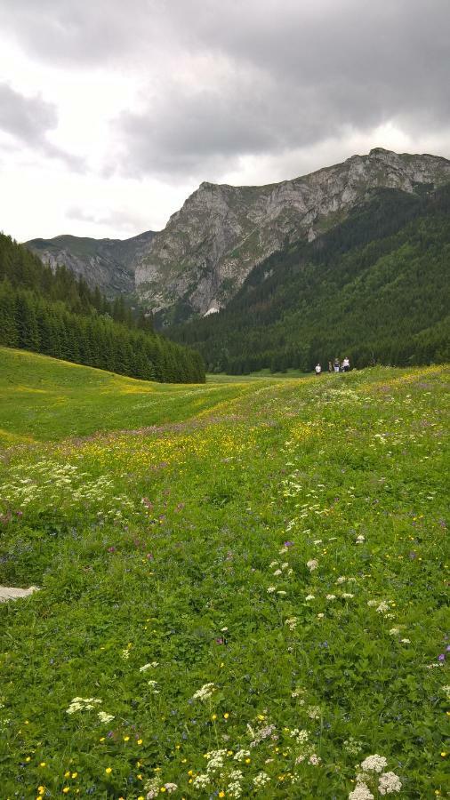 Apartament 33.13.A. Zakopane Kültér fotó