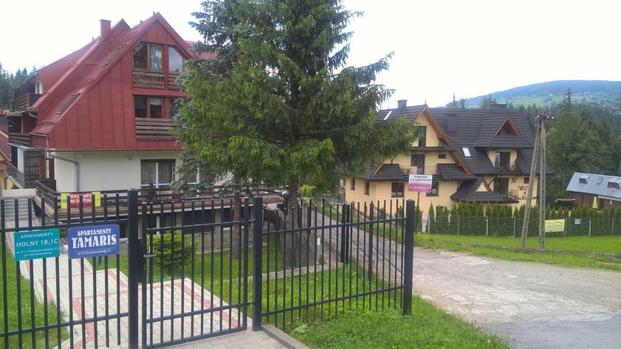 Apartament 33.13.A. Zakopane Kültér fotó