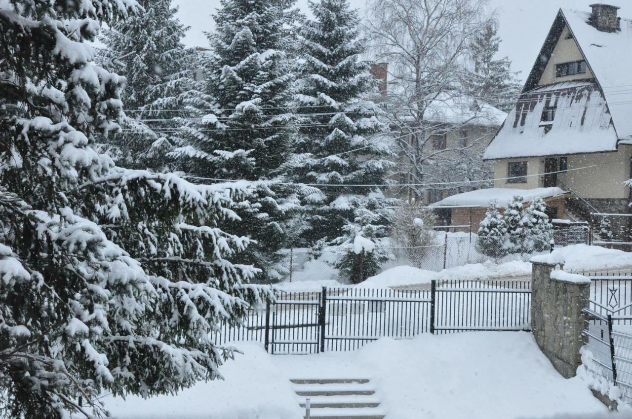 Apartament 33.13.A. Zakopane Kültér fotó