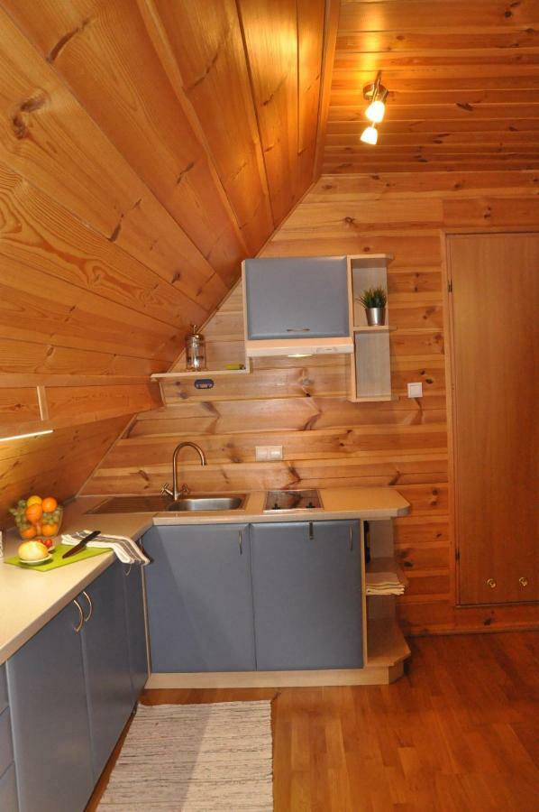 Apartament 33.13.A. Zakopane Kültér fotó